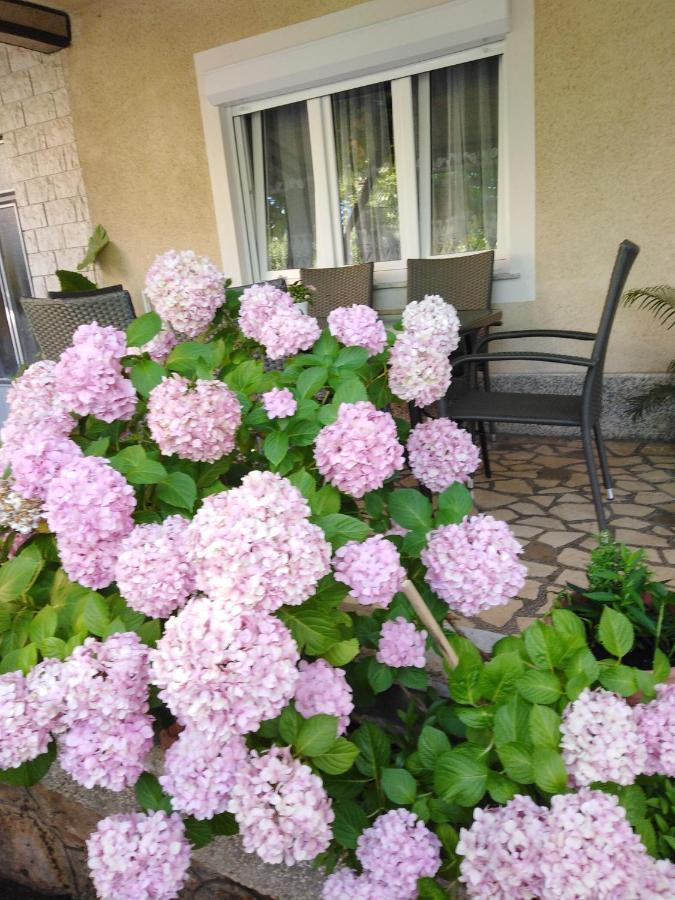 Apartman Paulina Lejlighed Selce Eksteriør billede